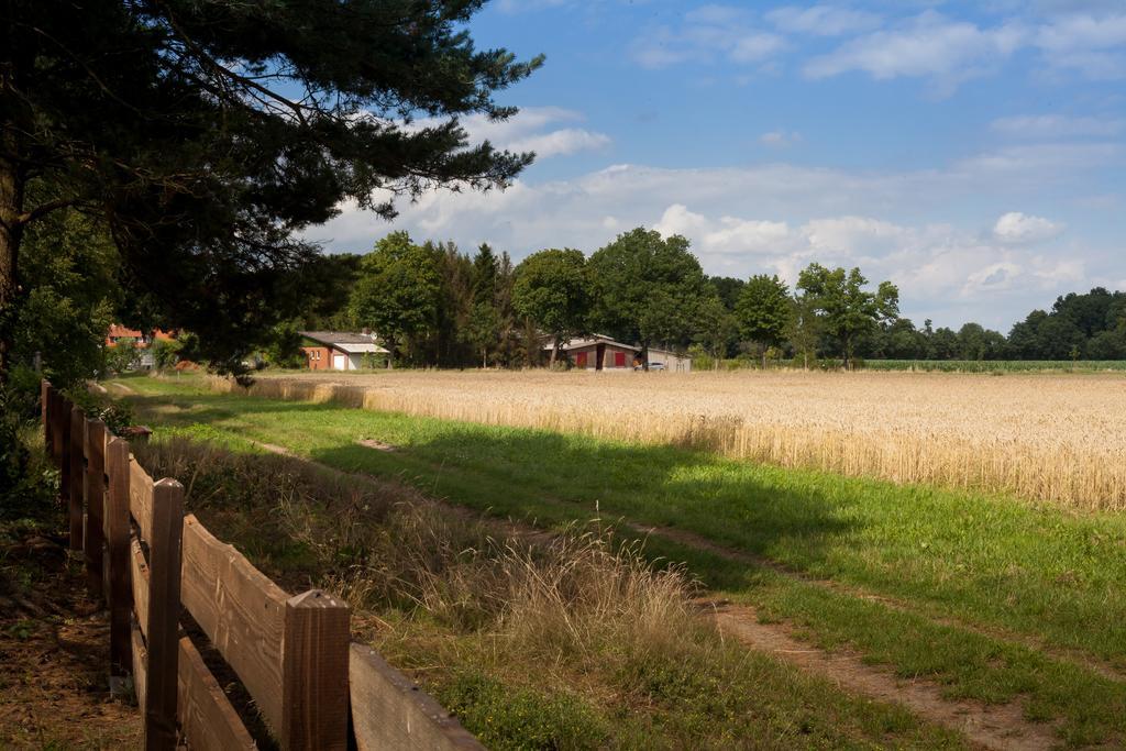 Willa Ferienhaus Heideland Winsen Aller Meißendorf Pokój zdjęcie