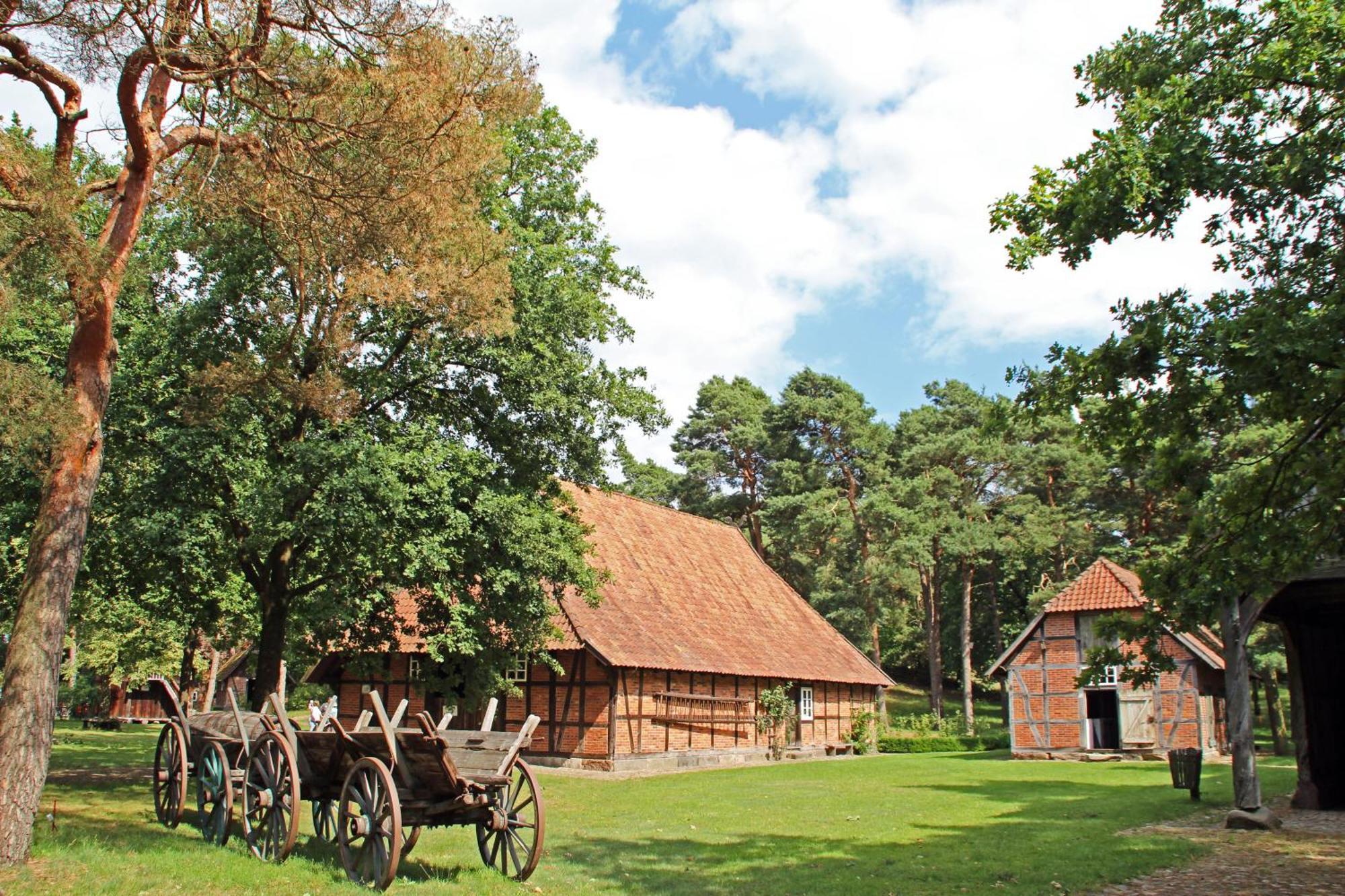 Ferienhaus Heideland Winsen Aller Meißendorf Zewnętrze zdjęcie